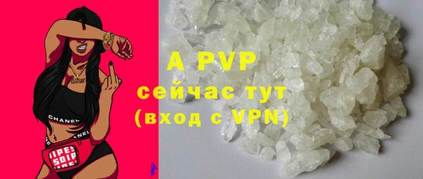 сатива Абинск