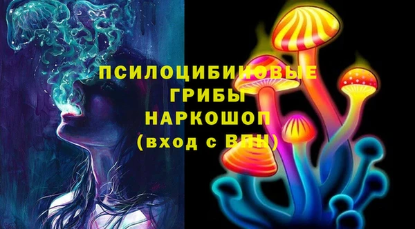 сатива Абинск