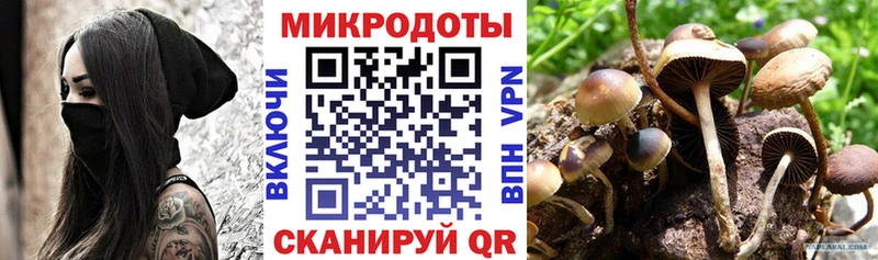 продажа наркотиков  Троицк  Галлюциногенные грибы мицелий 