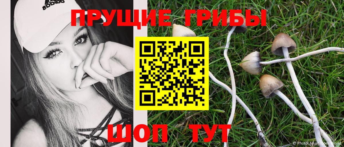 Троицк  Псилоцибиновые грибы мухоморы  как найти наркотики  Вход с VPN 
