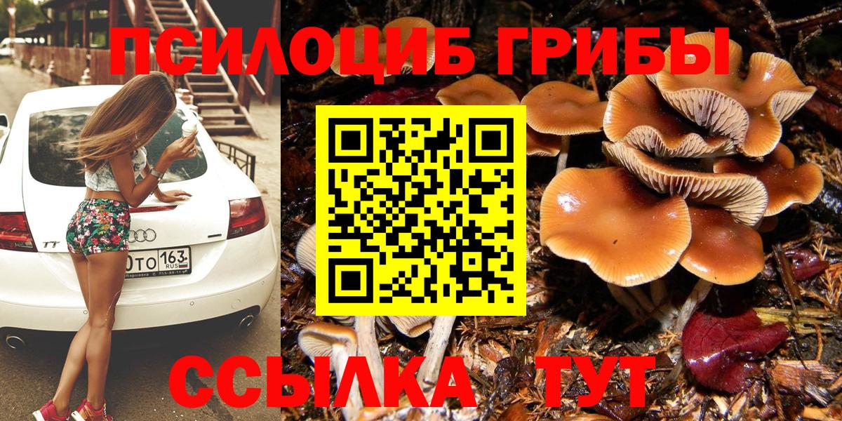 Псилоцибиновые грибы Cubensis Троицк